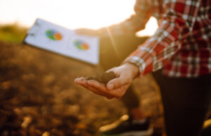 Hand Of Expert Farmer Collect Soil And Checking Soil Health Before Growth A Seed Of Vegetable.